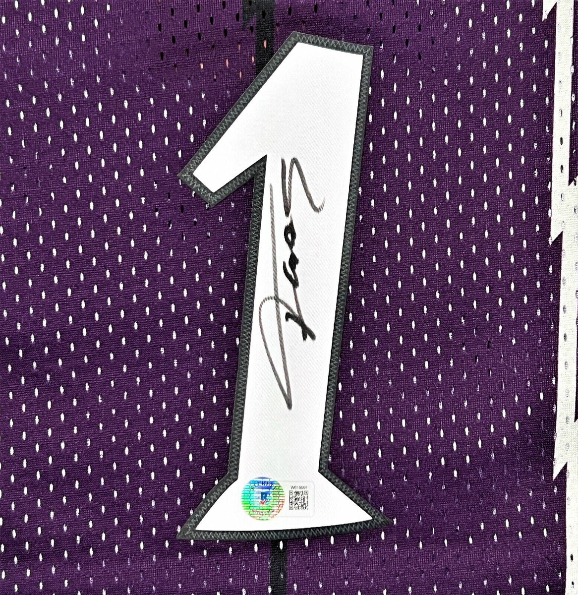 Framed Tracy McGrady Toronto Raptors Autographed Purple Mitchell & Ness 75th  Anniversary Swingman Jersey