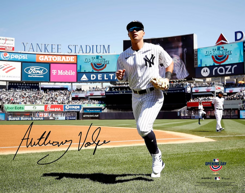 Anthony Volpe New York Yankees Signed Opening Day 16x20 Photo Fanatics