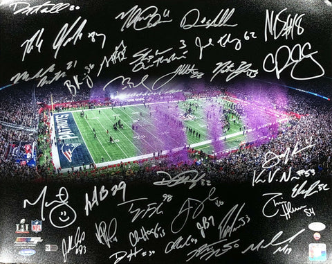 New England Patriots SuperBowl 51 Team Signed 16x20 Fanatics/Tristar/Steiner/JSA